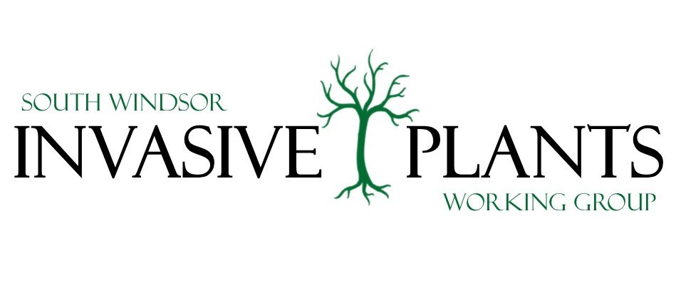 South Windsor Invasive Plants Working Group Logo